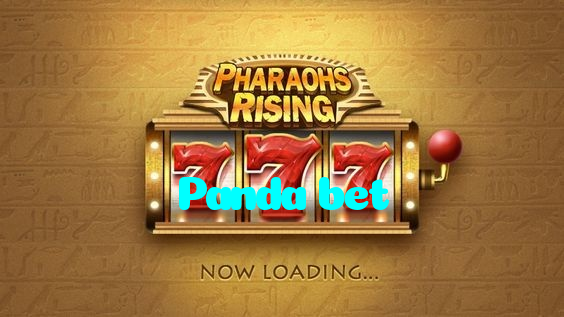 Panda bet casino presented on mobile device in Pakistan with slots and live games